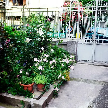 Sea Garden 公寓 布尔加斯